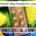 Ordenar Jalea Kamagra En Línea new11